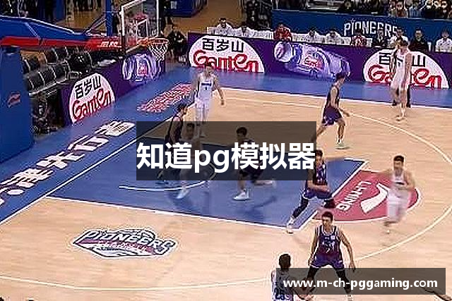 知道pg模拟器